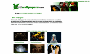 Birdwallpapers.com thumbnail