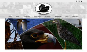 Birdwatcher.co.za thumbnail