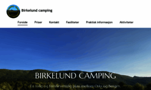 Birkelund-camping.com thumbnail