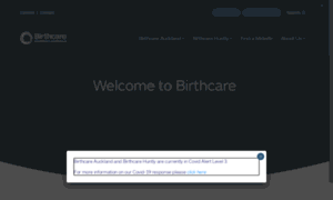 Birthcare.co.nz thumbnail