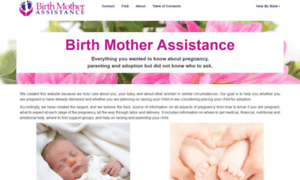 Birthmotherassistance.com thumbnail