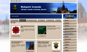 Biskupstvi.cz thumbnail