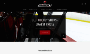 Bisonhockeysticks.com thumbnail