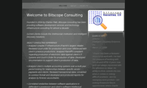 Bitscopeconsulting.com thumbnail