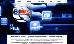 Bitwits.com thumbnail