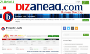 Bizahead.com thumbnail