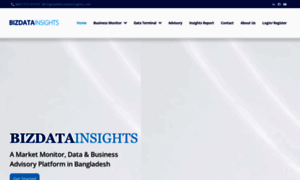 Bizdatainsights.com thumbnail