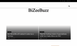 Bizeebuzz.com thumbnail