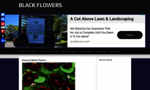 Black-flowers.net thumbnail