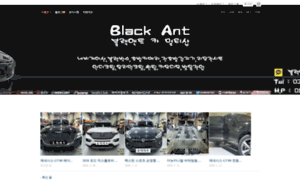 Blackant.co.kr thumbnail