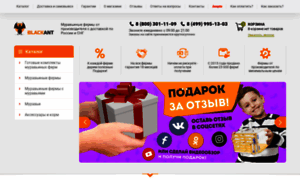 Blackant.ru thumbnail