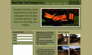 Blackbeartreeco.com thumbnail