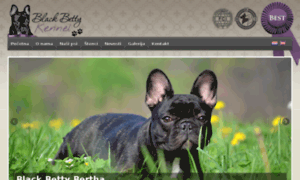 Blackbetty-kennel.com thumbnail