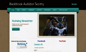 Blackbrookaudubon.org thumbnail