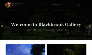 Blackbrookgallery.co.uk thumbnail