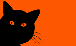 Blackcat.co thumbnail