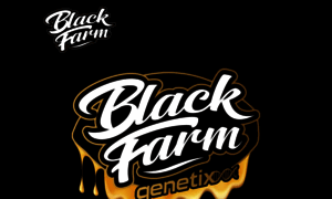 Blackfarmgenetix.com thumbnail