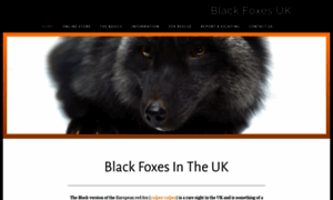 Blackfoxes.co.uk thumbnail