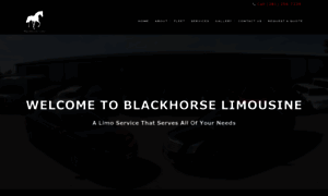 Blackhorselimo.com thumbnail