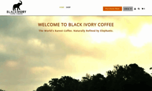 Blackivorycoffee.com thumbnail
