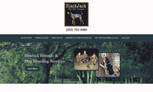 Blackjackbluetickkennel.com thumbnail
