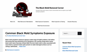 Blackmoldremovalcorner.com thumbnail