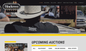 Blackmonauctions.com thumbnail