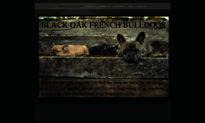 Blackoakfrenchbulldogs.com thumbnail