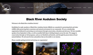 Blackriveraudubon.org thumbnail