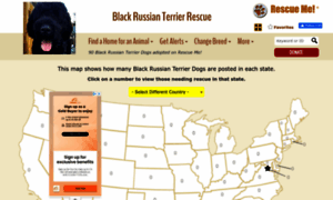 Blackrussianterrier.rescueme.org thumbnail