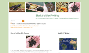 Blacksoldierflyblog.com thumbnail