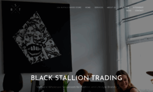 Blackstalliontrading.com thumbnail