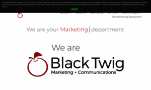 Blacktwigllc.com thumbnail