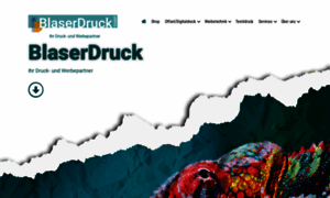 Blaserdruck.com thumbnail