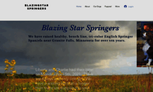 Blazingstarspringers.com thumbnail
