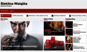 Blekitnawstazka.org.pl thumbnail