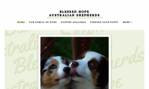 Blessedhopeaussies.com thumbnail