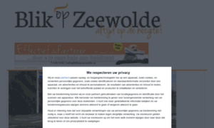 Blikopzeewolde.nl thumbnail