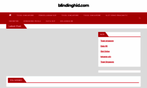 Blindinghid.com thumbnail