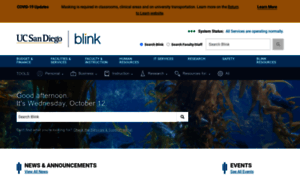 Blink.ucsd.edu thumbnail