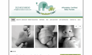 Blissnewborncare.com thumbnail