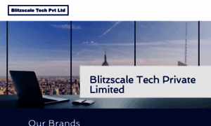 Blitzscale.co thumbnail