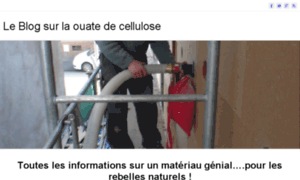 Blog-ouate-de-cellulose.fr thumbnail