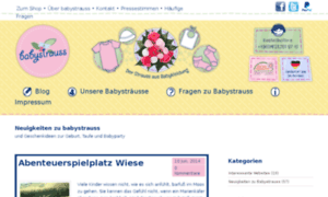 Blog.babystrauss.de thumbnail