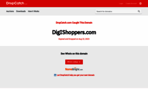 Blog.digishoppers.com thumbnail