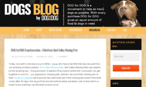 Blog.dogfordog.com thumbnail