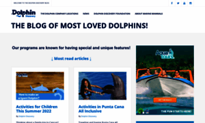 Blog.dolphindiscovery.com thumbnail