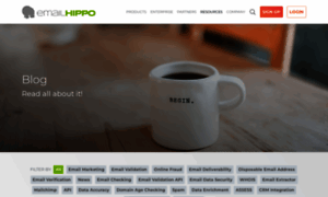 Blog.emailhippo.com thumbnail