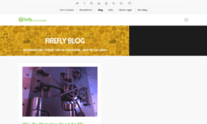 Blog.fireflydigital.com thumbnail