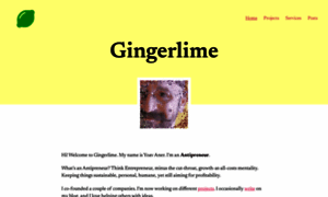 Blog.gingerlime.com thumbnail